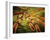 Conceptual Image of Candida Albicans-null-Framed Art Print