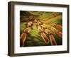 Conceptual Image of Candida Albicans-null-Framed Art Print