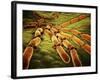 Conceptual Image of Candida Albicans-null-Framed Art Print