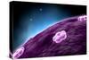 Conceptual Image of Cell Nucleus-null-Stretched Canvas