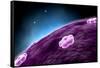 Conceptual Image of Cell Nucleus-null-Framed Stretched Canvas