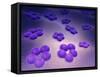 Conceptual Image of Cell Surface Receptors-null-Framed Stretched Canvas