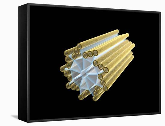 Conceptual Image of Centriole-null-Framed Stretched Canvas