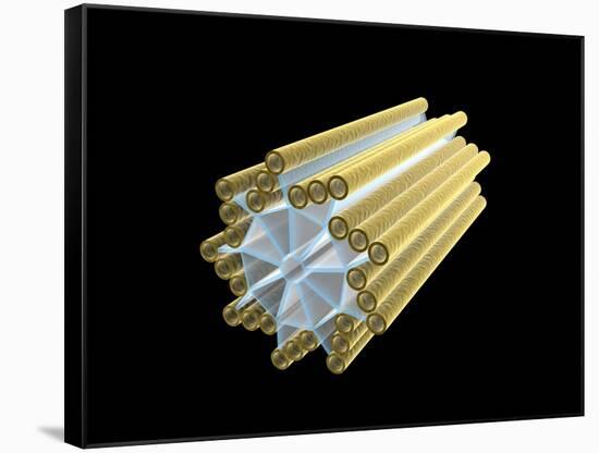 Conceptual Image of Centriole-null-Framed Stretched Canvas