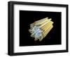 Conceptual Image of Centriole-null-Framed Art Print