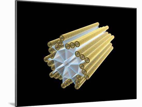 Conceptual Image of Centriole-null-Mounted Art Print