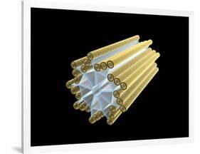 Conceptual Image of Centriole-null-Framed Art Print