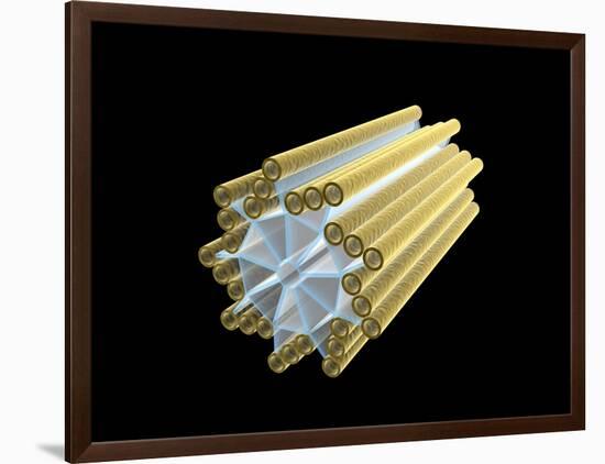 Conceptual Image of Centriole-null-Framed Art Print