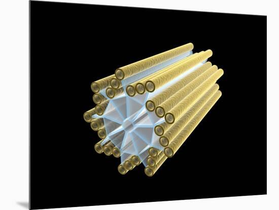 Conceptual Image of Centriole-null-Mounted Art Print