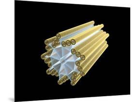 Conceptual Image of Centriole-null-Mounted Art Print