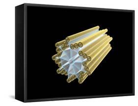 Conceptual Image of Centriole-null-Framed Stretched Canvas