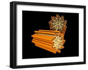 Conceptual Image of Centriole-null-Framed Art Print