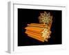 Conceptual Image of Centriole-null-Framed Art Print