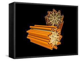 Conceptual Image of Centriole-null-Framed Stretched Canvas