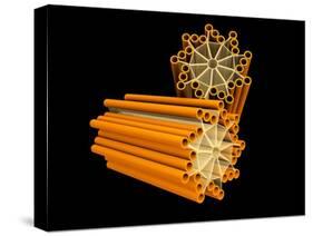 Conceptual Image of Centriole-null-Stretched Canvas