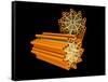 Conceptual Image of Centriole-null-Framed Stretched Canvas