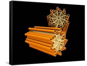 Conceptual Image of Centriole-null-Framed Stretched Canvas