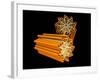 Conceptual Image of Centriole-null-Framed Art Print