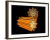 Conceptual Image of Centriole-null-Framed Art Print