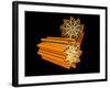 Conceptual Image of Centriole-null-Framed Art Print