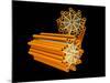 Conceptual Image of Centriole-null-Mounted Art Print