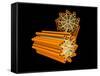 Conceptual Image of Centriole-null-Framed Stretched Canvas