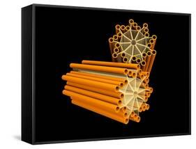 Conceptual Image of Centriole-null-Framed Stretched Canvas