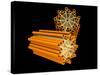 Conceptual Image of Centriole-null-Stretched Canvas