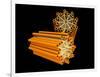 Conceptual Image of Centriole-null-Framed Art Print