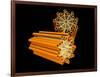 Conceptual Image of Centriole-null-Framed Art Print