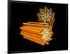 Conceptual Image of Centriole-null-Framed Art Print