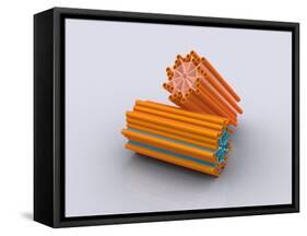 Conceptual Image of Centrioles-null-Framed Stretched Canvas