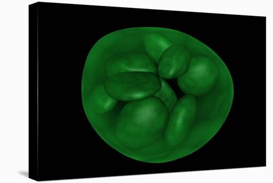 Conceptual Image of Chloroplast-null-Stretched Canvas