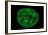 Conceptual Image of Chloroplast-null-Framed Art Print