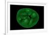 Conceptual Image of Chloroplast-null-Framed Art Print