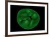 Conceptual Image of Chloroplast-null-Framed Art Print