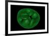 Conceptual Image of Chloroplast-null-Framed Art Print