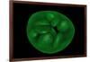 Conceptual Image of Chloroplast-null-Framed Art Print