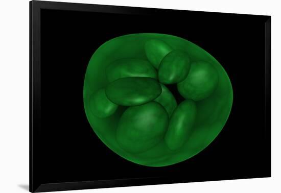 Conceptual Image of Chloroplast-null-Framed Art Print