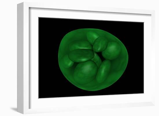 Conceptual Image of Chloroplast-null-Framed Art Print