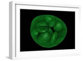 Conceptual Image of Chloroplast-null-Framed Art Print