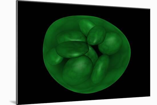 Conceptual Image of Chloroplast-null-Mounted Art Print