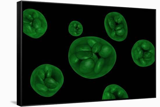 Conceptual Image of Chloroplast-null-Framed Stretched Canvas