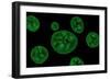 Conceptual Image of Chloroplast-null-Framed Premium Giclee Print