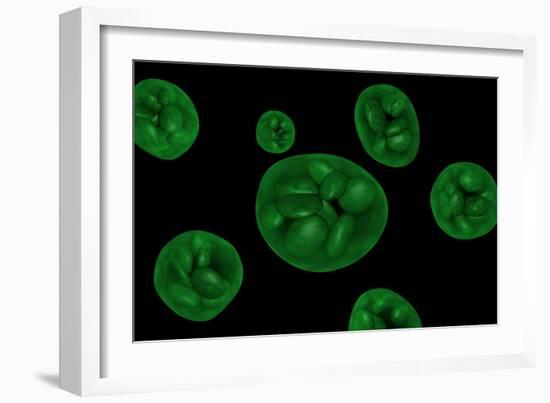 Conceptual Image of Chloroplast-null-Framed Premium Giclee Print