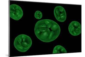 Conceptual Image of Chloroplast-null-Mounted Premium Giclee Print