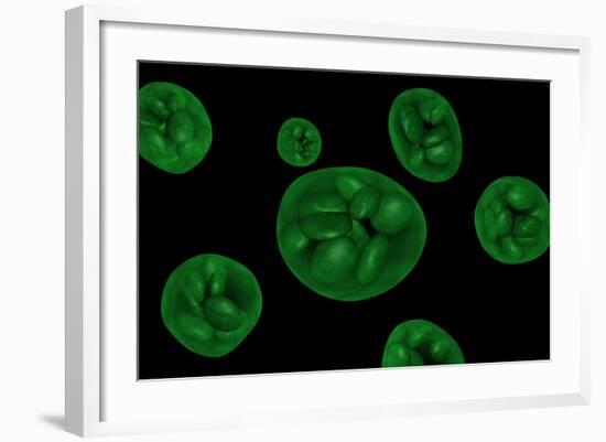 Conceptual Image of Chloroplast-null-Framed Art Print