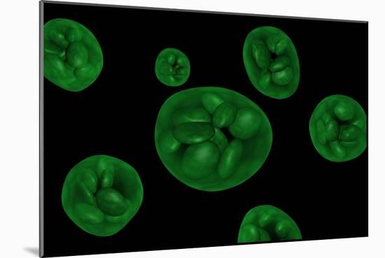 Conceptual Image of Chloroplast-null-Mounted Art Print