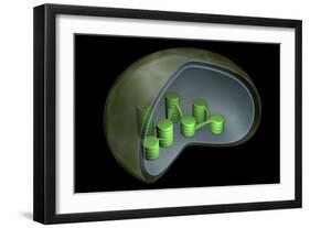 Conceptual Image of Chloroplast-null-Framed Art Print