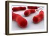 Conceptual Image of Cholerae Bacteria-null-Framed Premium Giclee Print